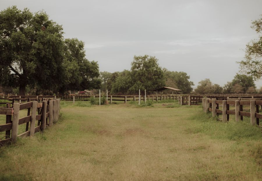 New farm fence with a braced corner assembly and tensioned wire on southwest Oklahoma ranch pasture